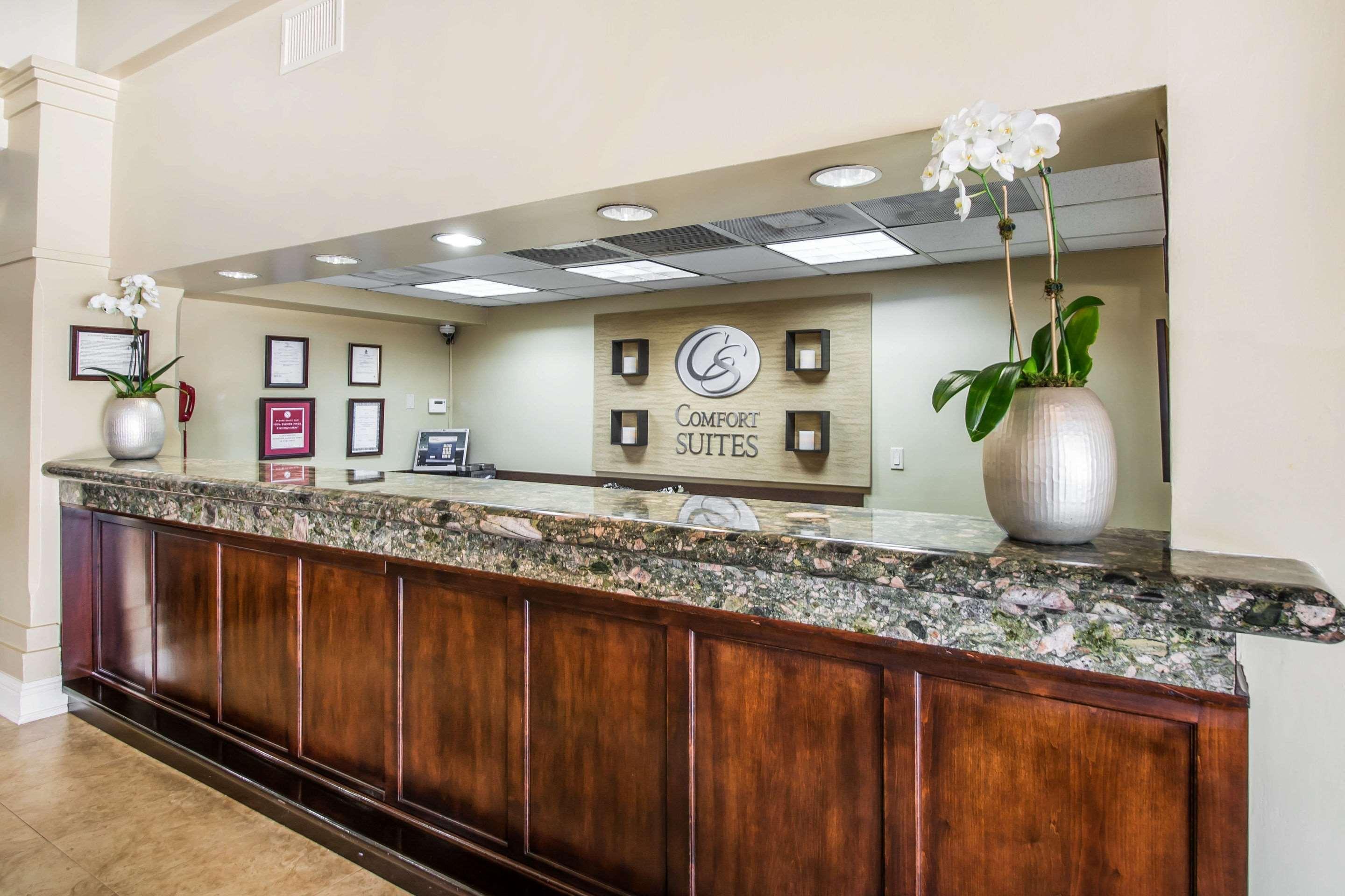 Comfort Suites Paradise Island Creek Village Exteriér fotografie